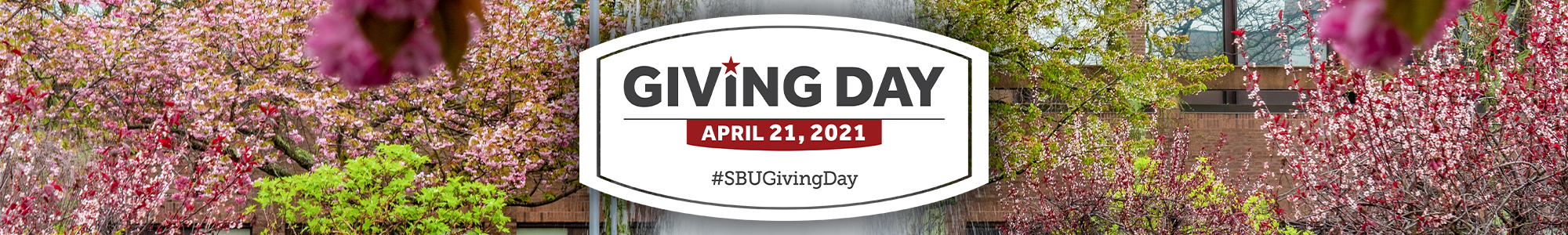 small giving day banner